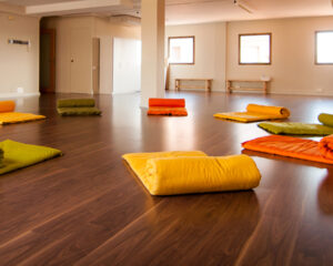 Classes de Ioga i Mindfulness per a nens